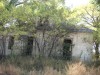Review of Life in Los Sauces CIMG2404
