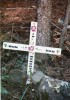 Hiking up the East Fork of Mt. Baldy Sweet memories of Mom and Dad
