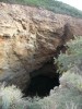 Brazilian Free-Tailed Bats Incredible Journey CIMG2723