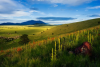 Presenting … Arizona Highways 2013-14 Online Photo Contest Finalists Government Prairie, near Flagstaff | John Tennant