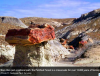 Visiting the Petrified Forest National Park Screen shot 2014-05-11 at 1.00.37 PM