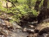 Connect With the Natural World in Southern Arizona Ramsey Canyon