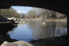 Whitewater River in Colorado a Bright Spot Amid Grim Drought Screen Shot 2018-05-25 at 2.02.57 PM