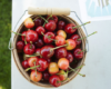 Have You Checked Out Your Local Farmer’s Market Yet? Screen Shot 2018-06-12 at 1.31.05 PM
