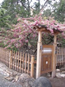 Flower blooming at 10,000 Waves Spa Resort