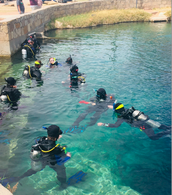 A group of people in the water with scuba gear.