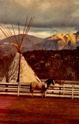 A horse standing in front of a teepee.