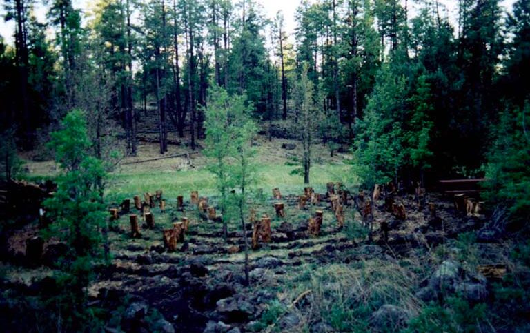 labyrinth in the white mountains of AZ- done with short logs