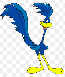 carrtoon roadrunner