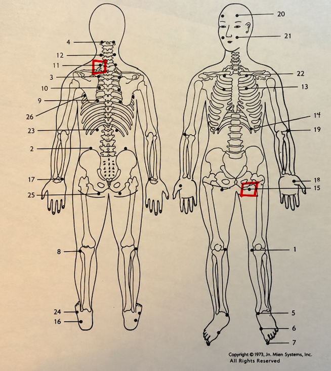 Diagram of a Jin Shin Jyutsu hold