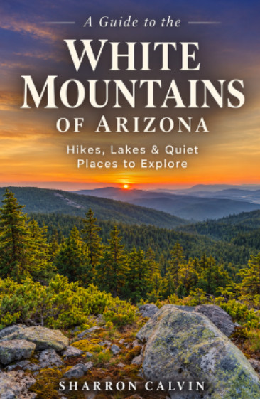 overlooking into the White mountains of AZ